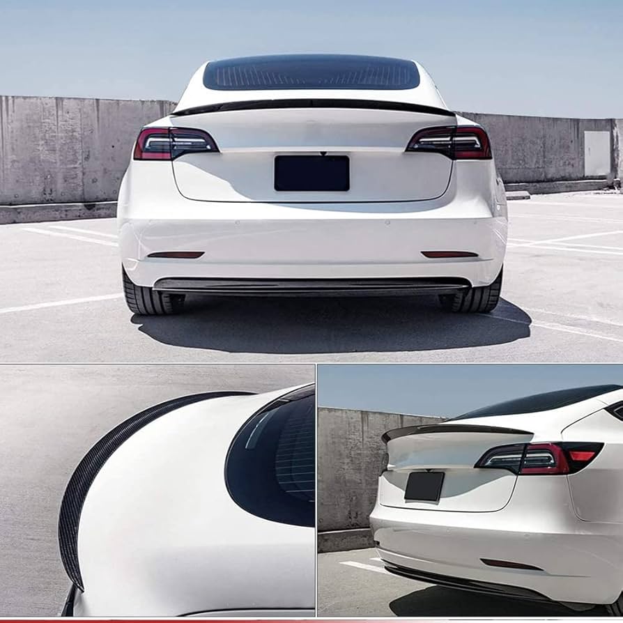 Amazon | JC SPORTLINE モデル3 ドライカーボンファイバーリア